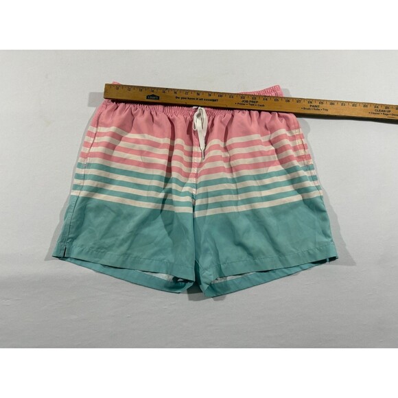 Chubbies Swim Trunks Adult Mens Pink White Blue Stripe Mesh Line 5.5" Shorts XL - Picture 3 of 8